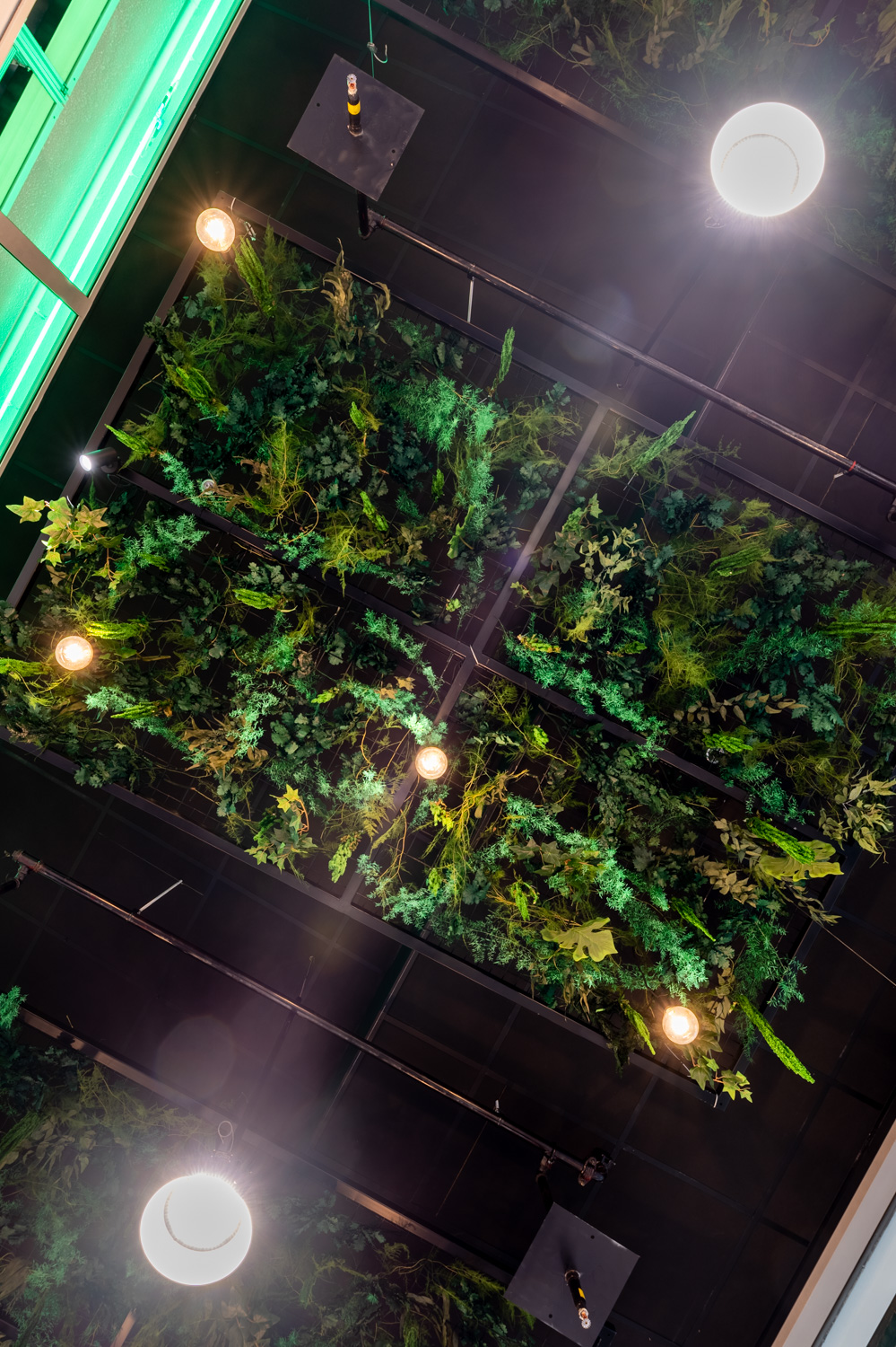 Plafond végétalisé vertical